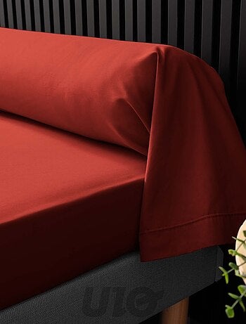 Fundas de almohada cilíndrica de Algodón Percal Percale Douceur d'Intérieur