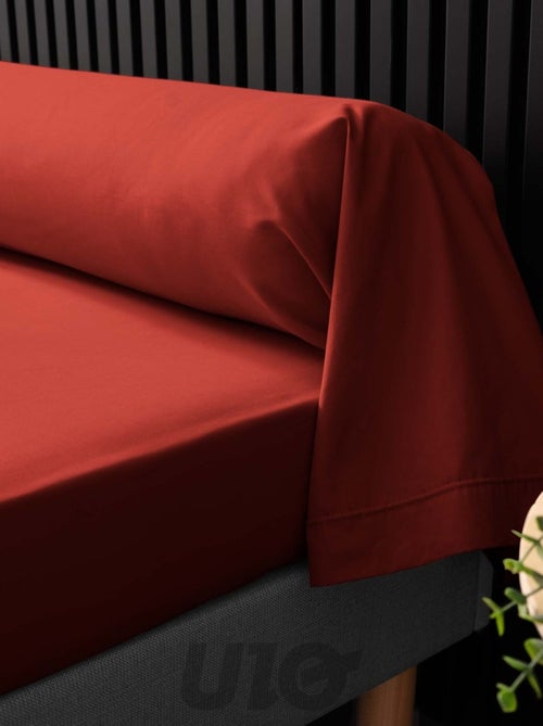 Fundas de almohada cilíndrica de Algodón Percal Percale Douceur d'Intérieur - Kiabi