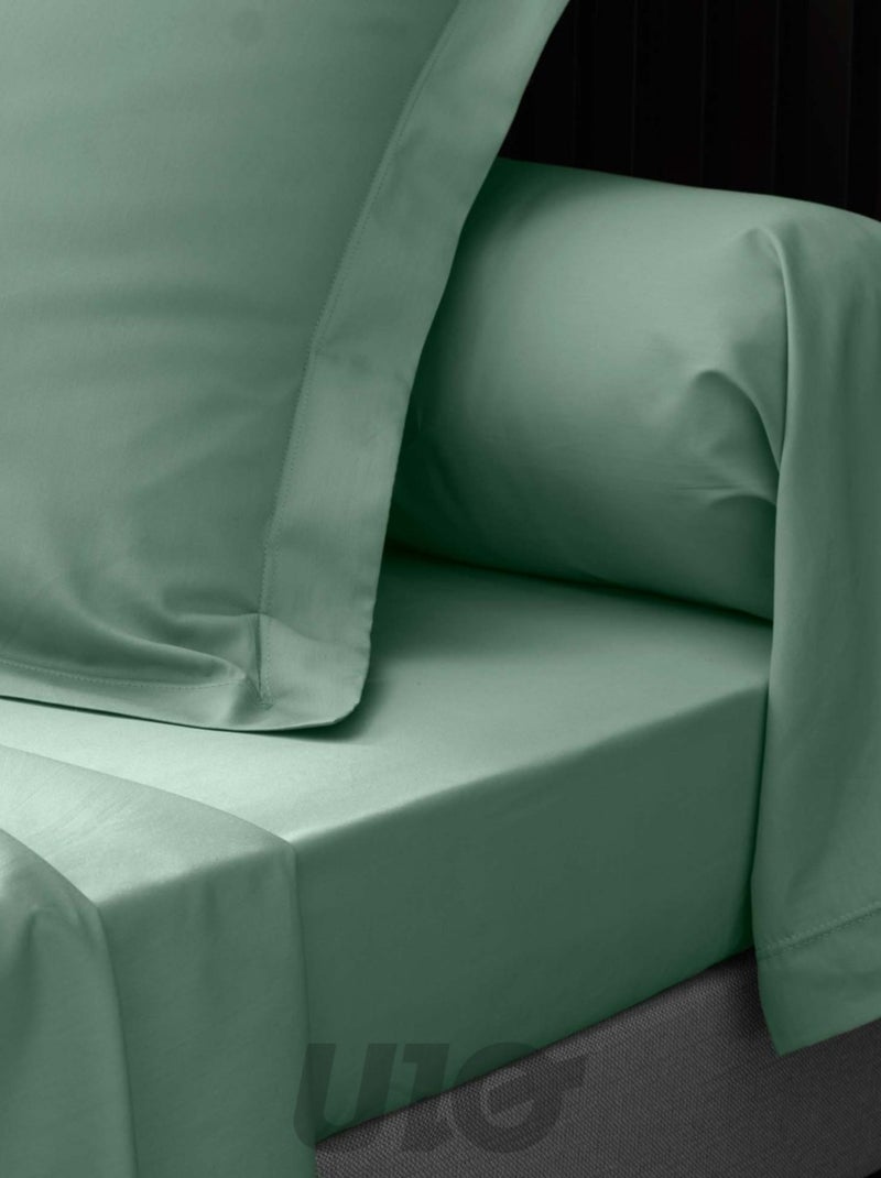 Fundas de almohada cilíndrica de Algodón Percal Percale Douceur d'Intérieur Verde salvia - Kiabi