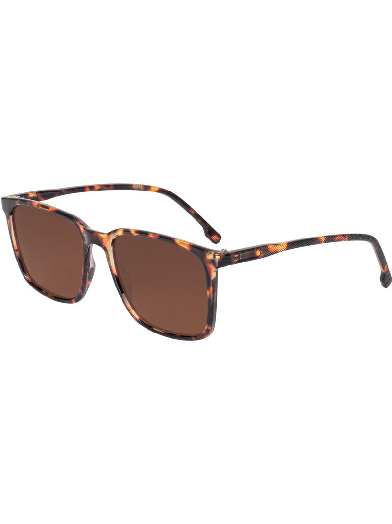 Gafas de sol polarizadas Marrón - Kiabi