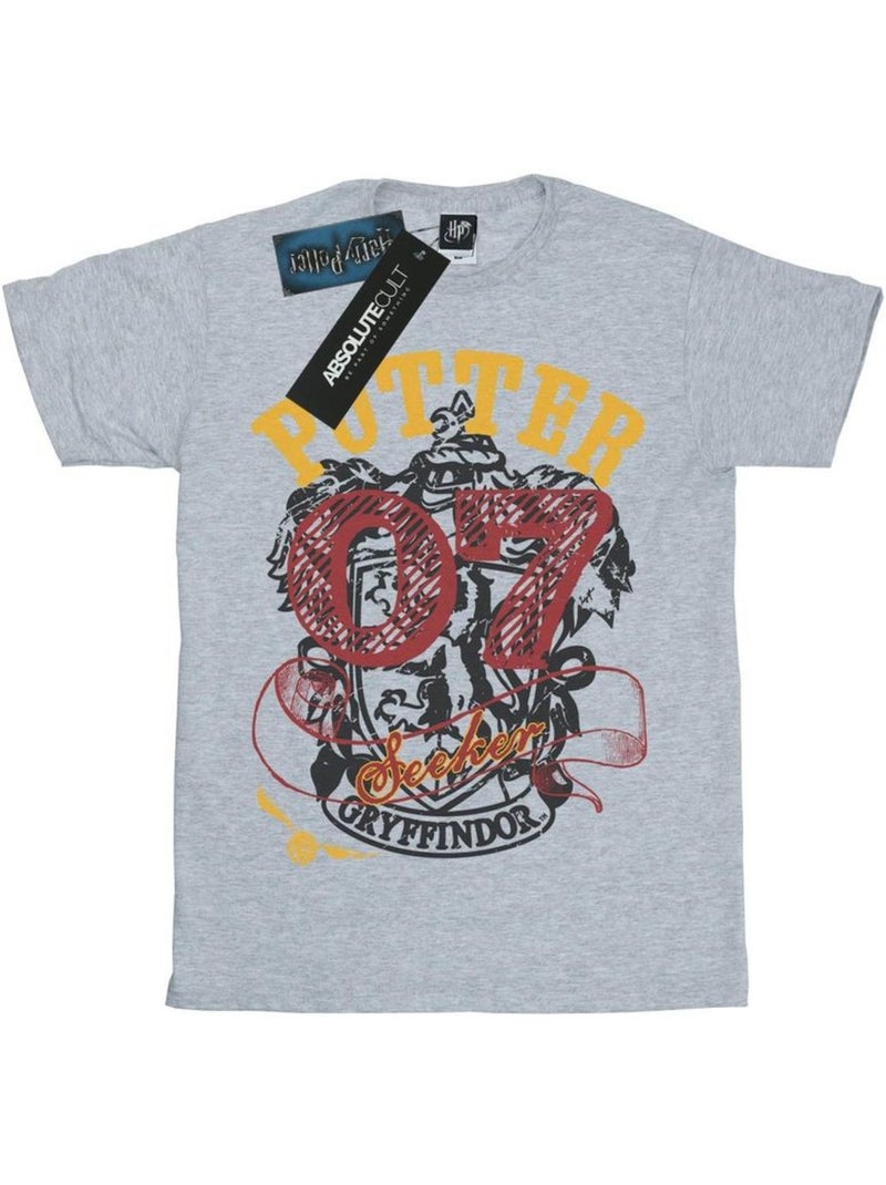 Harry Potter - Camiseta Gryffindor Seeker para Hombre Gris jaspeado - Kiabi