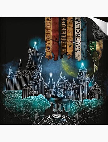 Harry Potter, juego de sabanas infantil estampado reversible, Hogwarts NIGHT