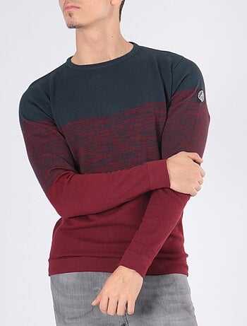 Jersey bicolor