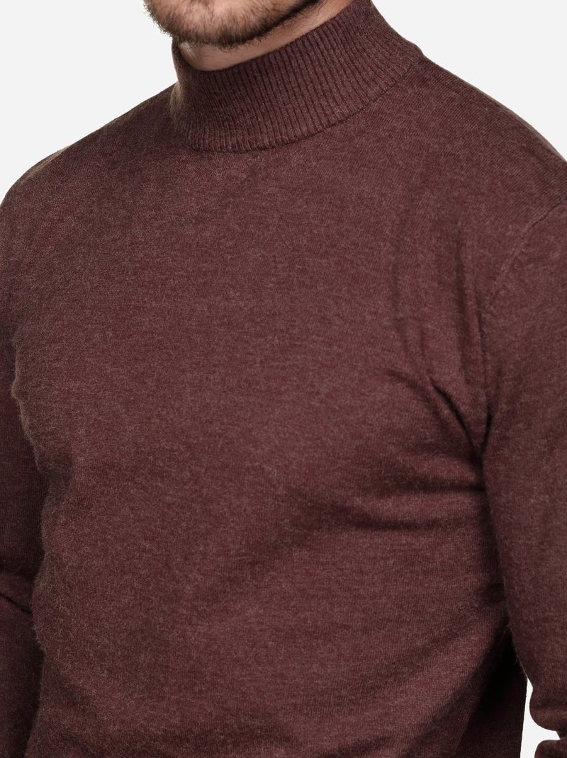 Jersey de vestir con cuello de chimenea - Yves Enzo Marrón oscuro - Kiabi