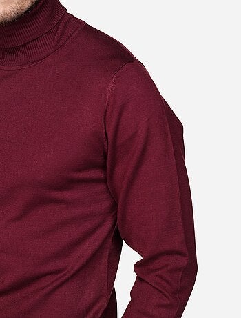 Jersey elegante de cuello alto - Frilivin