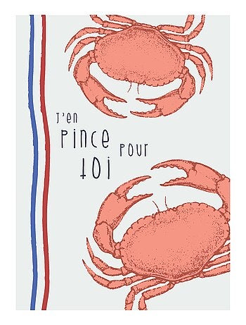 Juego de 3 paños de cocina de algodón lavado con ilustraciones marinas