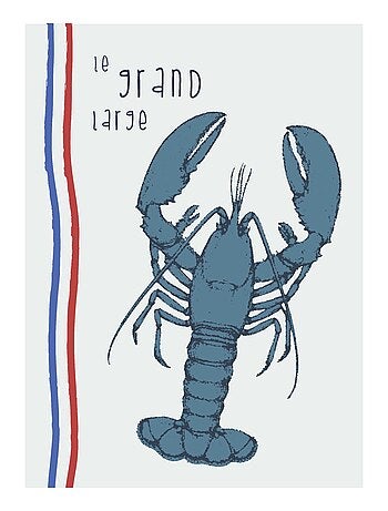 Juego de 3 paños de cocina de algodón lavado con ilustraciones marinas