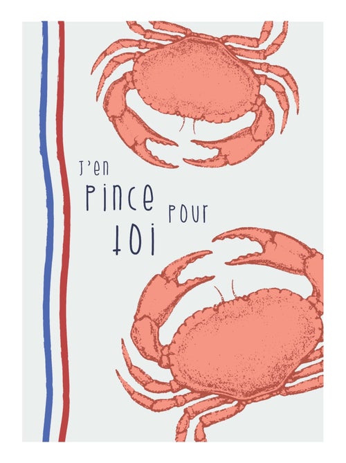 Juego de 3 paños de cocina de algodón lavado con ilustraciones marinas - Kiabi