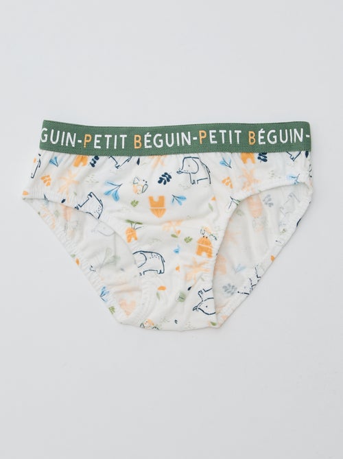 Juego de 3 slips estampados 'Petit Béguin' - Kiabi