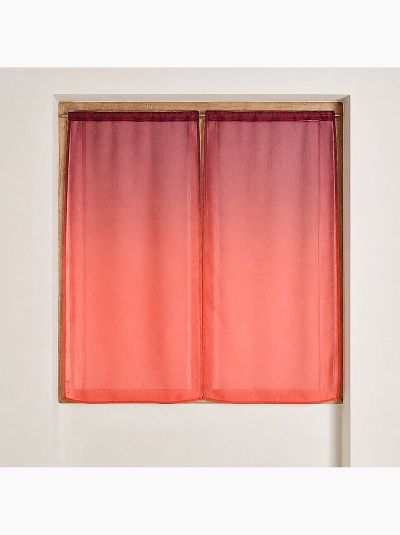 Juego de cortinas transparentes con degradado de colores Violeta ciruela - Kiabi