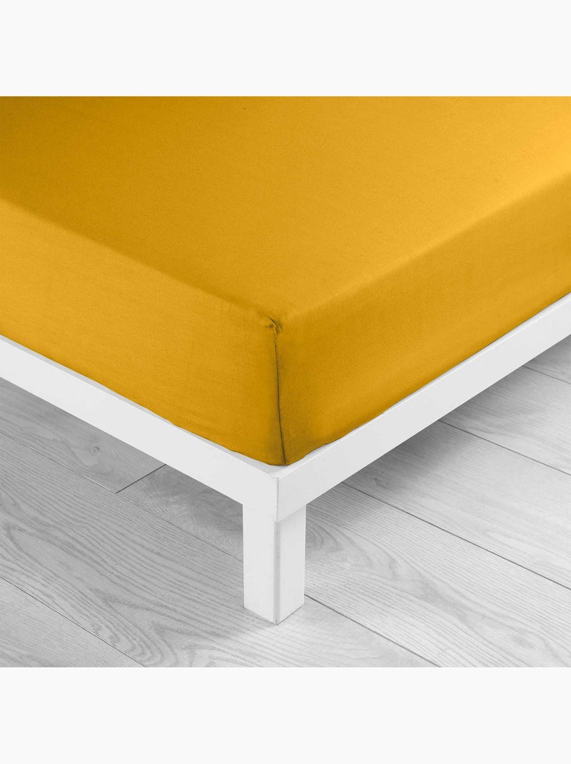 Juego de sábanas 4 piezas algodón 57 hilos – sábana bajera, sábana encimera y 2 fundas de almohada Ocre - Kiabi