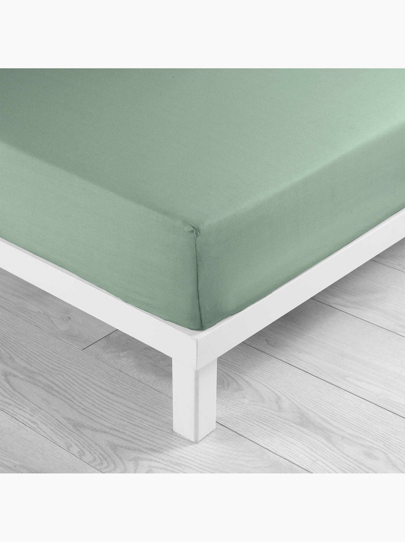 Juego de sábanas 4 piezas algodón 57 hilos – sábana bajera, sábana encimera y 2 fundas de almohada Verde salvia - Kiabi
