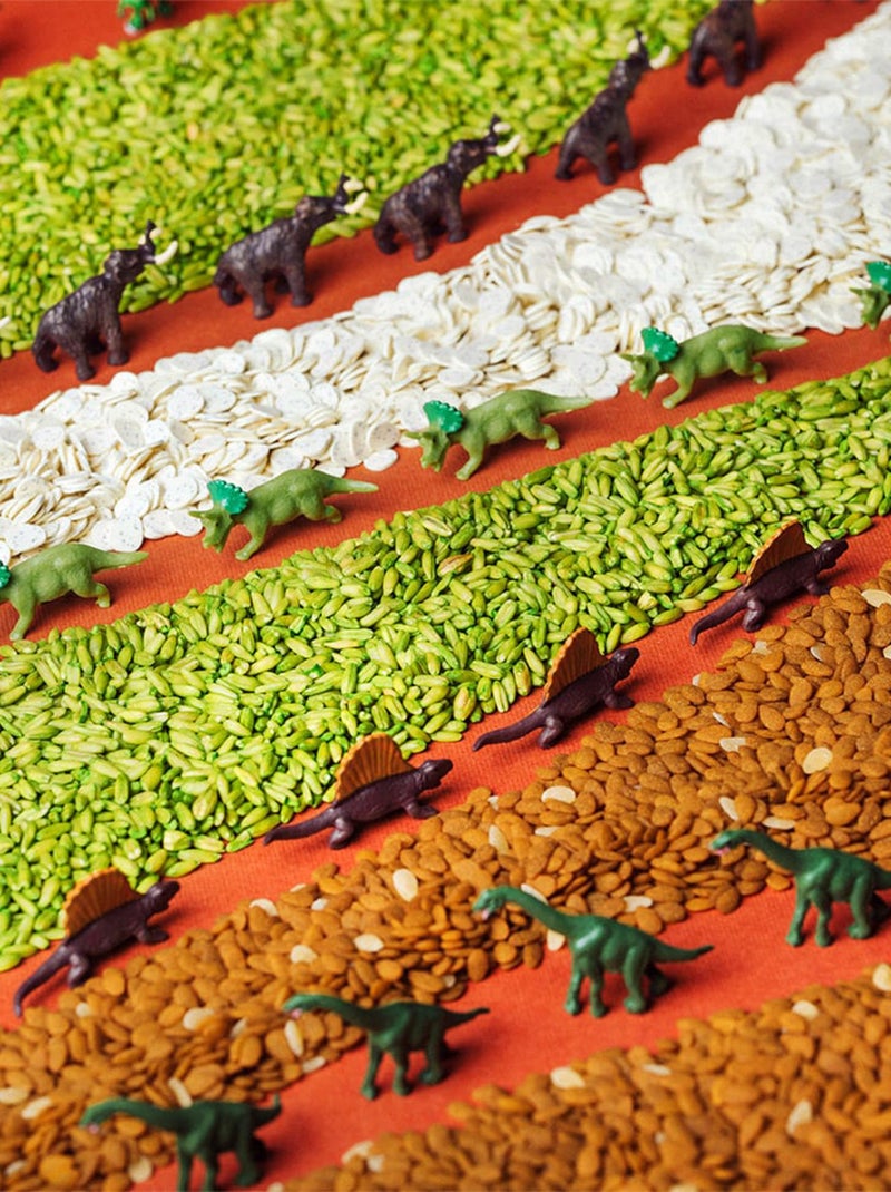 Juguete botella sensorial para bebé con sonido | Petit Boum Marrón chocolate - Kiabi