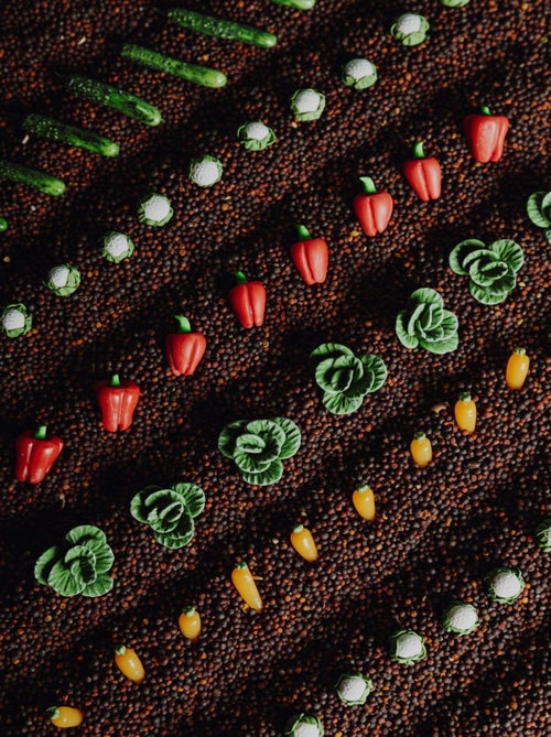 Juguete botella sensorial para bebé con sonido | Petit Boum - Kiabi