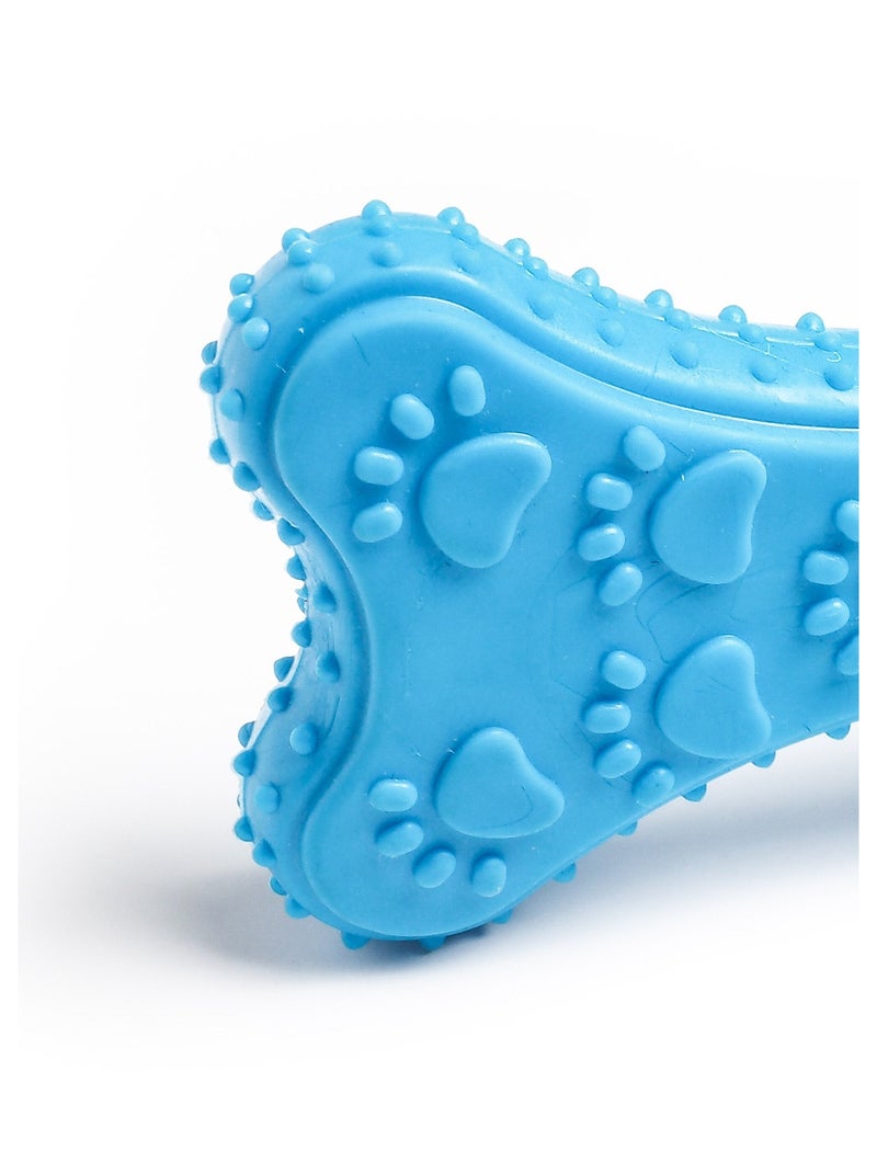 Juguete de hueso estampado para perros - AFIBEL Azul - Kiabi