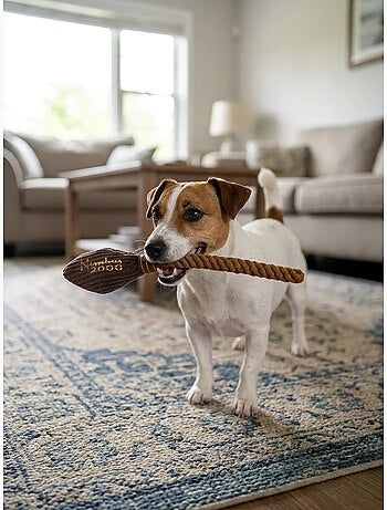 Juguete masticable para perro escoba de cuerda harry potter