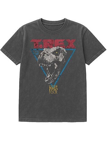 Jurassic Park - Camiseta Diseño T-Rex de Lavado Vintage para Adultos Unisex