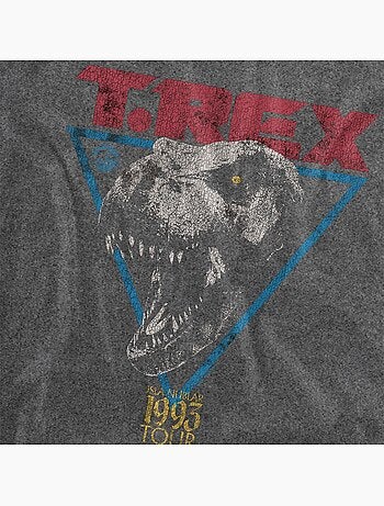Jurassic Park - Camiseta Diseño T-Rex de Lavado Vintage para Adultos Unisex