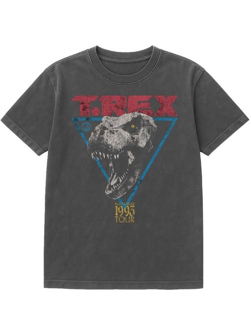 Jurassic Park - Camiseta Diseño T-Rex de Lavado Vintage para Adultos Unisex - Kiabi Jurassic Park - Camiseta Diseño T-Rex de Lavado Vintage para Adultos Unisex - Kiabi