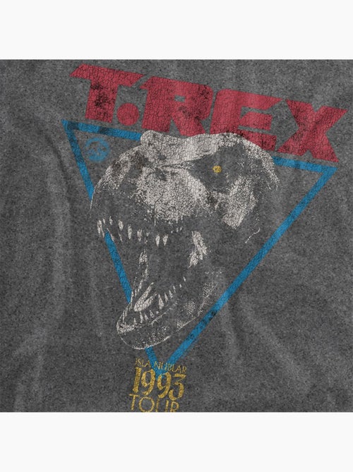 Jurassic Park - Camiseta Diseño T-Rex de Lavado Vintage para Adultos Unisex - Kiabi Jurassic Park - Camiseta Diseño T-Rex de Lavado Vintage para Adultos Unisex - Kiabi