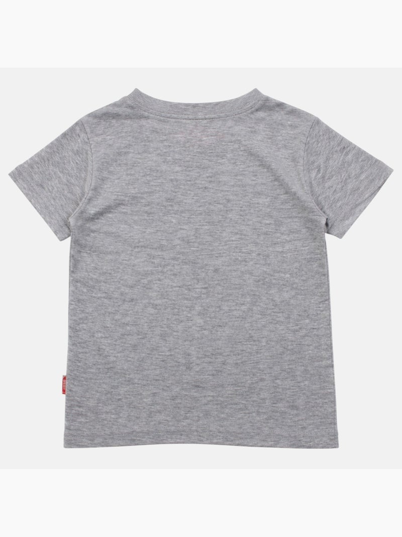 Lee Cooper - Camiseta niño de manga corta con estilo urbano inspirado en el mundo del skateboard Gris - Kiabi