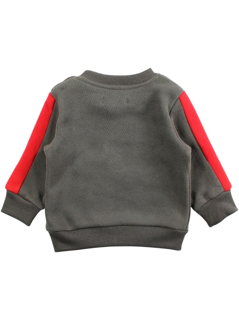 Lee cooper - conjunto sudadera y pantalón de jogging bébé niño Caqui - Kiabi