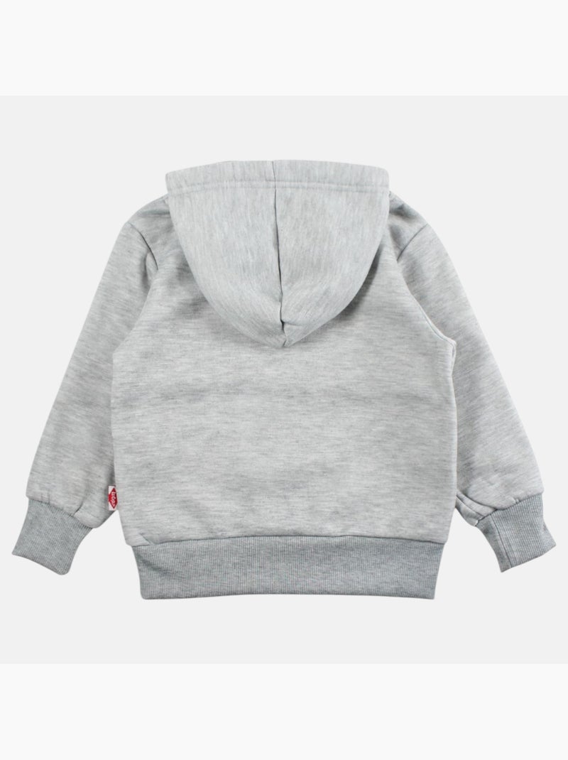 Lee Cooper - Sudadera con capucha niño Gris - Kiabi