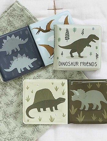 Libro de baño para niños, nuestros amigos dinosaurios | A Little Lovely Company