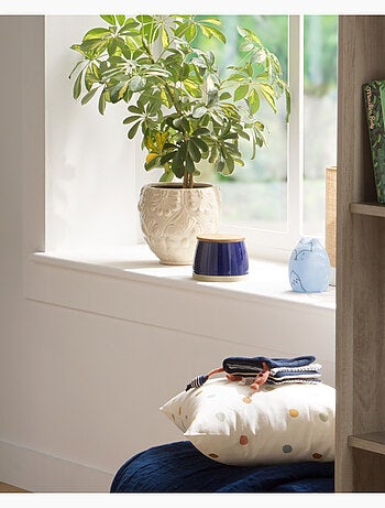 Libro de bebé marinero con detalle de - SAUTHON