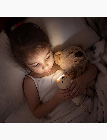 Linterna animales de silicona para niños | little l