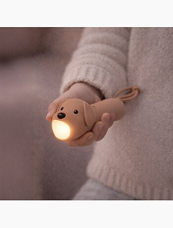 Linterna animales de silicona para niños | little l