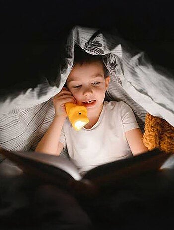 Linterna animales de silicona para niños | Little L