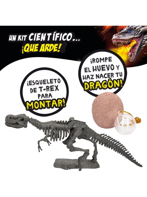 Lisciani juego de dinosaurios y dragones crazy science - Kiabi Lisciani juego de dinosaurios y dragones crazy science - Kiabi