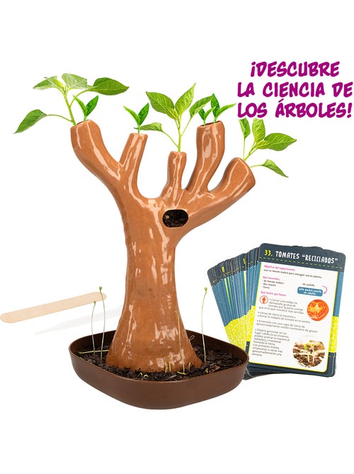 Lisciani laboratorio botánica c/50 experimentos científicos i'm a genius - Kiabi Lisciani laboratorio botánica c/50 experimentos científicos i'm a genius - Kiabi