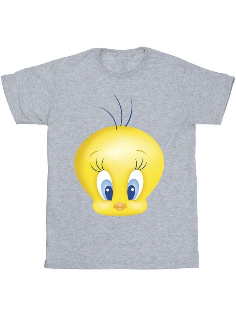 Looney Tunes - Camiseta de Piolín Cara para Hombre Gris jaspeado - Kiabi