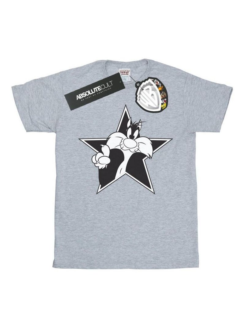 Looney Tunes - Camiseta de Silvestre Estrella Mono para Hombre Gris jaspeado - Kiabi