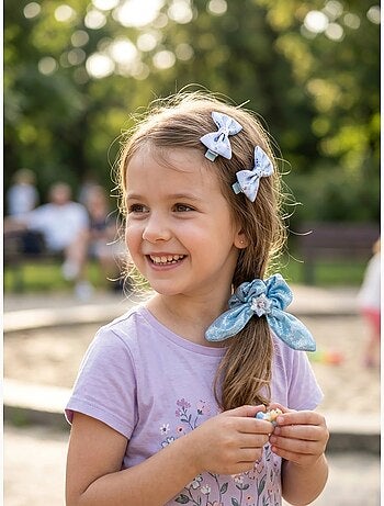 Lote de 2 pinzas para el pelo con coletero Frozen Disney
