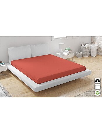 Lote de 2 sábanas bajeras de algodón biológico