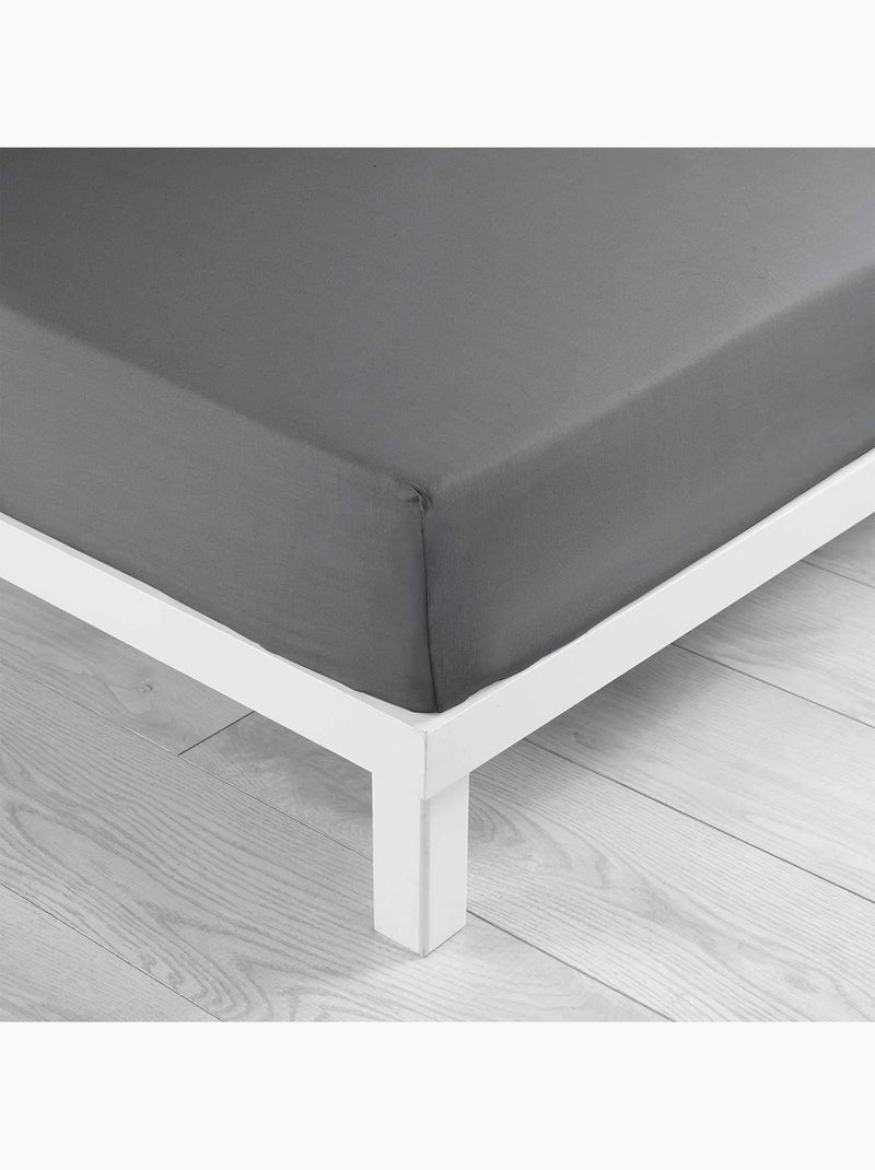 Lote de 2 sábanas bajeras queen size algodón 57 hilos Gris antracita - Kiabi