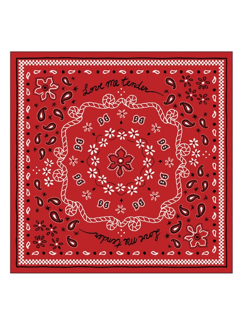 Lote de 20 servilletas de papel bandana - Kiabi