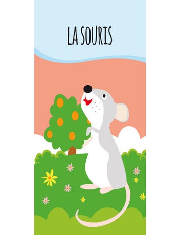 Lote de 8 libros - mes petits animaux | Sassi Junior