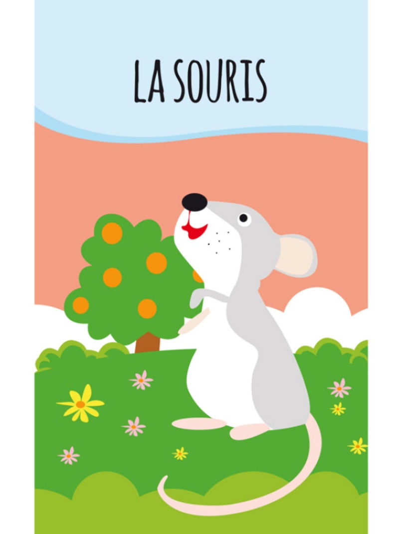 Lote de 8 libros - mes petits animaux | Sassi Junior N/D - Kiabi