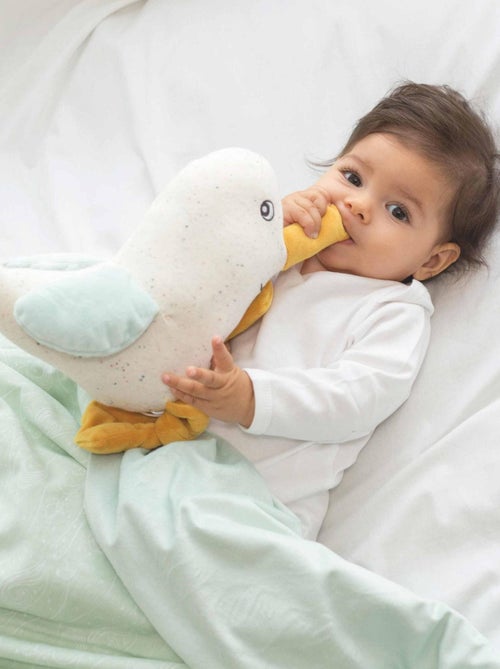 Manta Au large de Nova - Kiabi