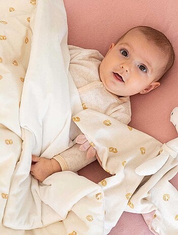 Manta de terciopelo Diplododo