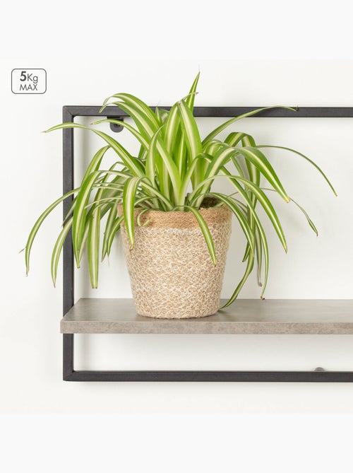 Max home estantería pared efecto cemento 1 estante 65x20x35 cm - Kiabi