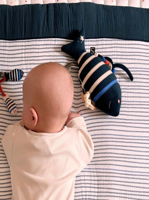 Mini pez musical de - SAUTHON - Kiabi