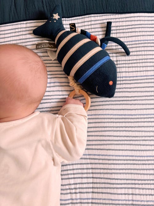 Mini pez musical de - SAUTHON - Kiabi