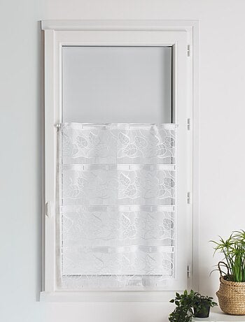 Modular de punto con el espíritu de la naturaleza