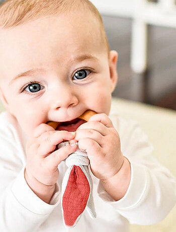 Mordedor de algodón orgánico