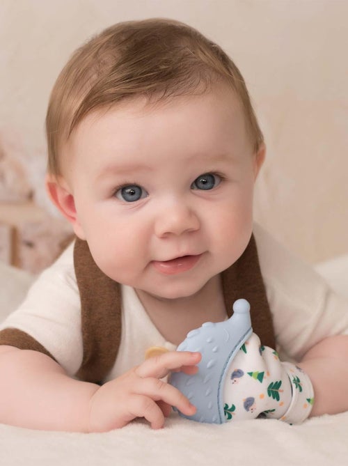 Mordedor de silicona alimentaria, erizo | SEVIRA KIDS - Kiabi